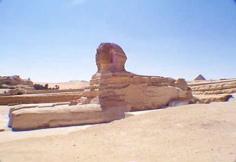 Buried Sphinx